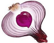 Resultado de imagen para capas de cebolla