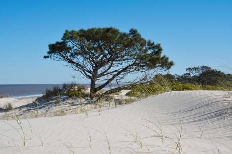 a9cb46efe2b8ed00220c781261988d55560e7e6d.jpg.th460