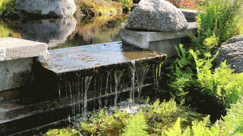 W Accuosto - SIMPLEMENTE FLUIR